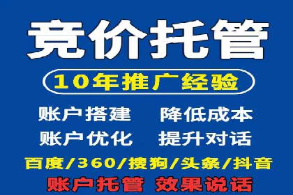深度解析：SEM竞价优化提升ROI的案例